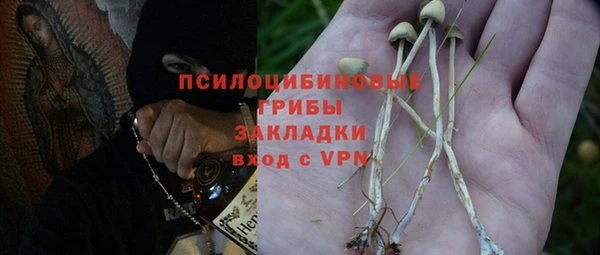 мдпв Богородск