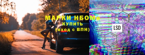 мдпв Богородск
