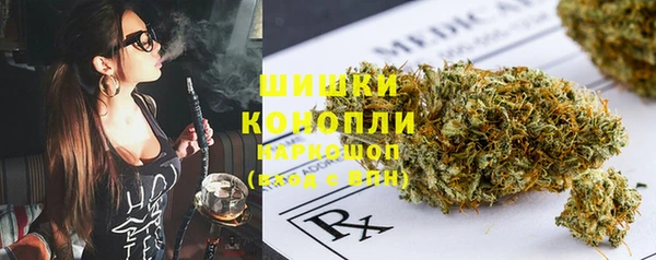 стаф Белокуриха