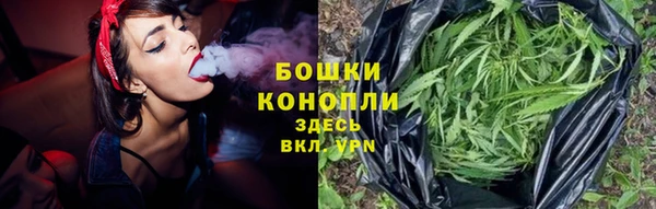 амф Беломорск
