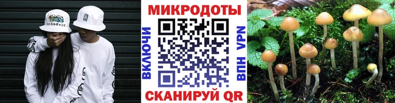Галлюциногенные грибы Psilocybe Дальнереченск