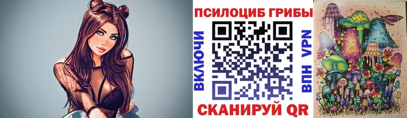 Купить закладки  Дальнереченск  Псилоцибиновые грибы Cubensis 
